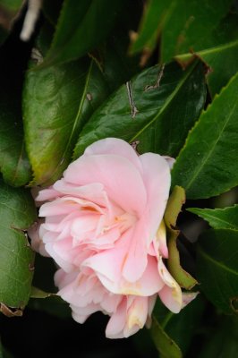 DSC_4120.JPG