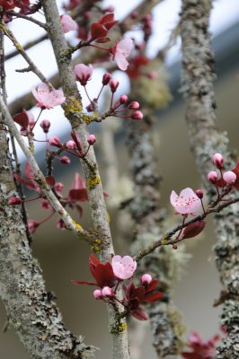 DSC_4174.JPG