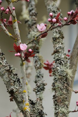 DSC_4185.JPG