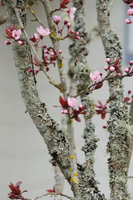 DSC_4210.JPG