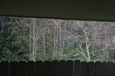 DSC_4520.JPG