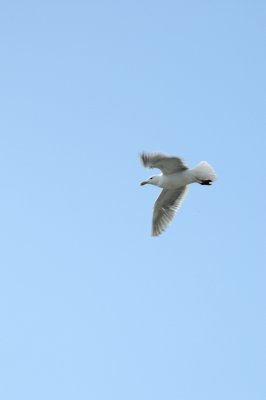 DSC_4578.JPG