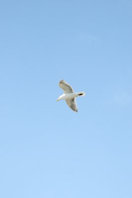 DSC_4579.JPG