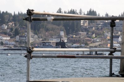 DSC_4636.JPG