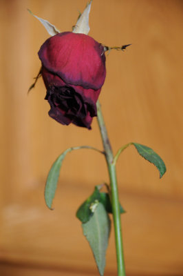 24-mar-10