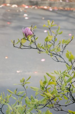 DSC_5478.JPG