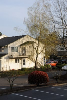 DSC_5509.JPG