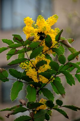 DSC_5542.JPG