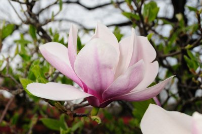 DSC_5545.JPG