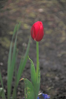 DSC_5553.JPG