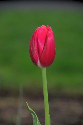 DSC_5554.JPG