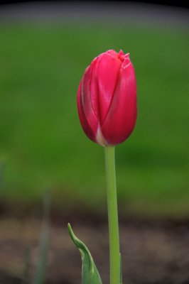 DSC_5555.JPG