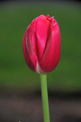 DSC_5556.JPG