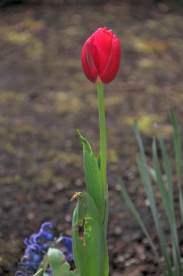 DSC_5557.JPG