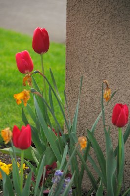 DSC_5560.JPG