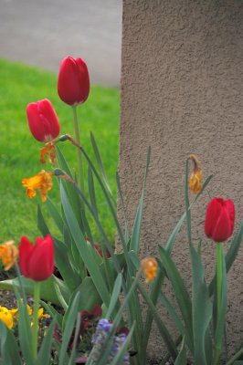 DSC_5561.JPG