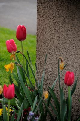 DSC_5562.JPG