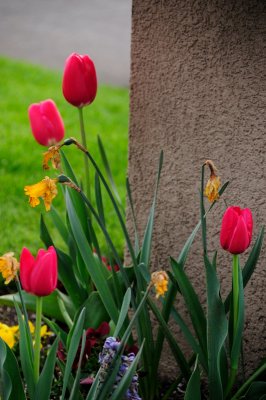 DSC_5563.JPG