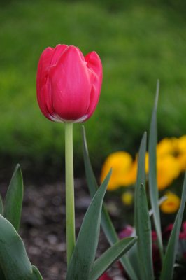 DSC_5564.JPG