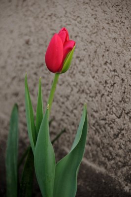 DSC_5569.JPG