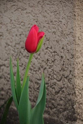 DSC_5570.JPG