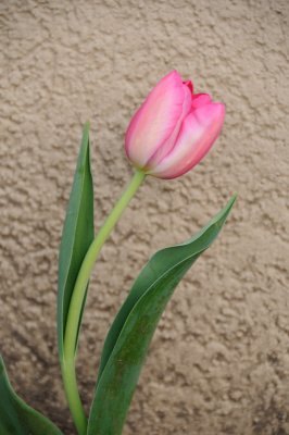 DSC_5571.JPG