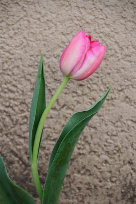 DSC_5572.JPG