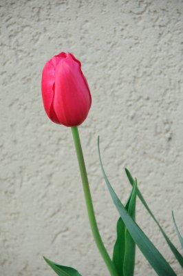 DSC_5575.JPG