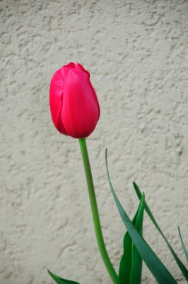 DSC_5576.JPG
