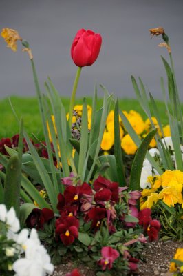 DSC_5577.JPG