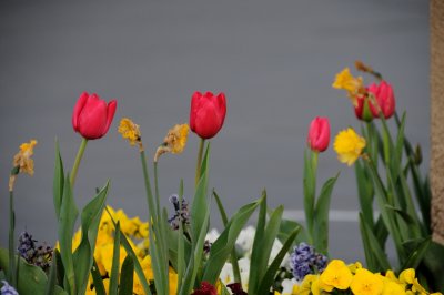 DSC_5578.JPG