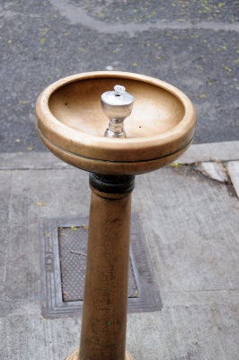 DSC_5618.JPG