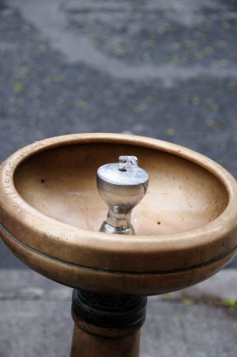 DSC_5619.JPG