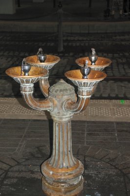 DSC_5642.JPG