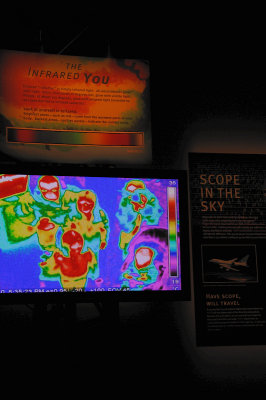 DSC_5698.JPG