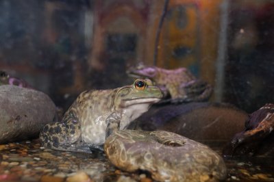 DSC_5787.JPG