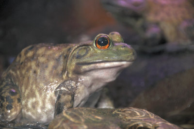 DSC_5788.JPG