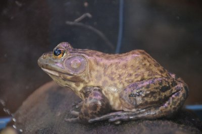 DSC_5789.JPG