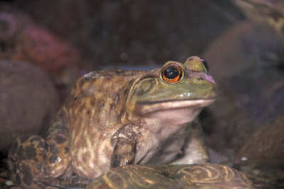DSC_5790.JPG