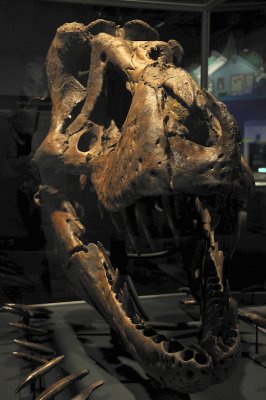 DSC_5802.JPG