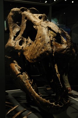 DSC_5803.JPG