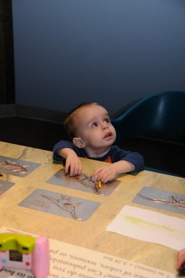 DSC_5816.JPG