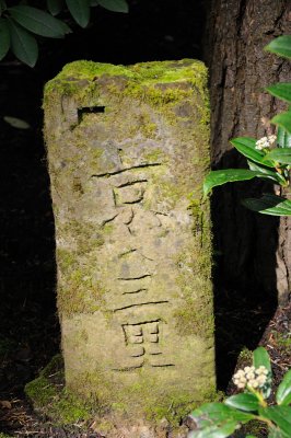 DSC_5930.JPG