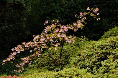 DSC_5933.JPG