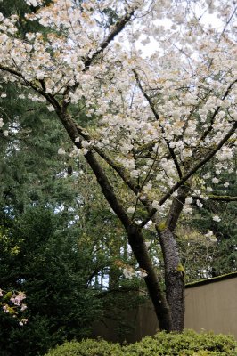 DSC_5934.JPG