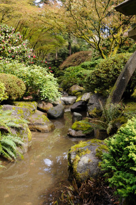 DSC_5961.JPG