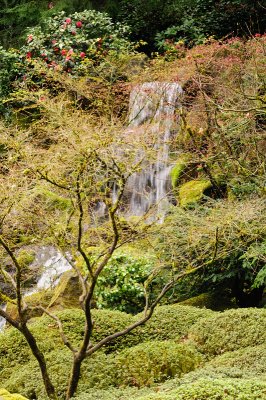 DSC_5969.JPG