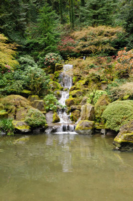 DSC_5973.JPG