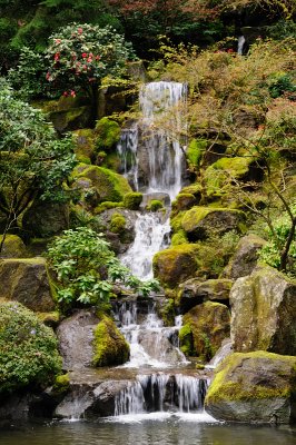 DSC_5977.JPG