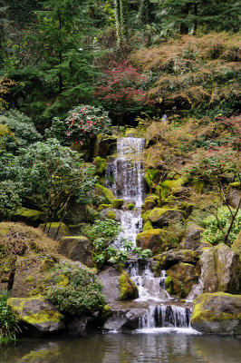 DSC_5982.JPG